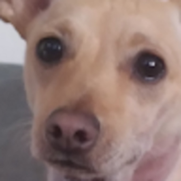 Meet your Posher, Matthew - Picture 1 of 1